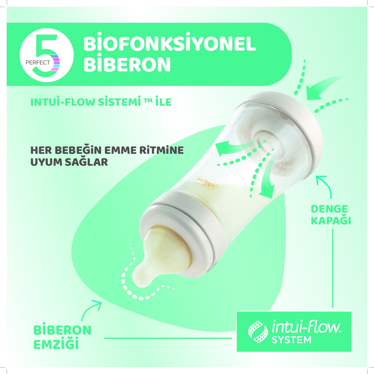 Chicco Perfect 5 Antikolik Biberon PP 240 ml Girl